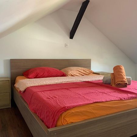 فندق Peachy House Bezigrad ليوبليانا المظهر الخارجي الصورة